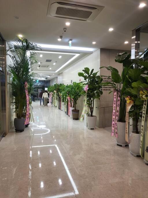 Stayc Hotel Myeongdong Seúl Exterior foto